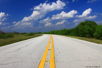 Highway to Seminole Country