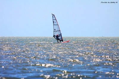 Lone Sail