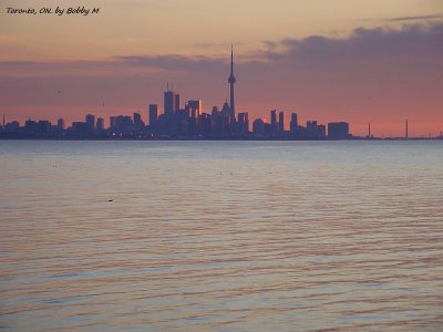 Toronto skyline in the distance