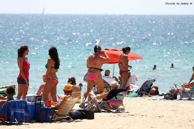 FLORIDA  - the sunshine state