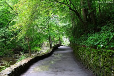 Cedar Creek