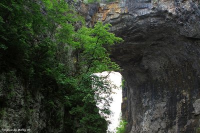 Top portion of the bridge