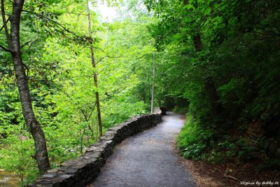 Cedar Creek Trail