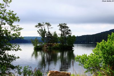 Views of Maine