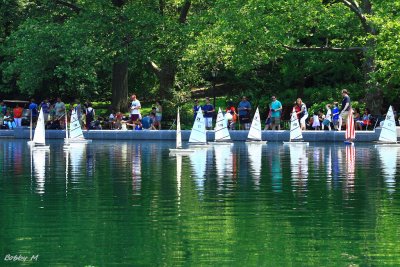Boat-race in Central Park