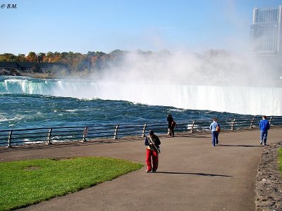  Falls viewed from Goat Island