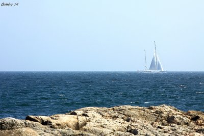 Lonely white sail