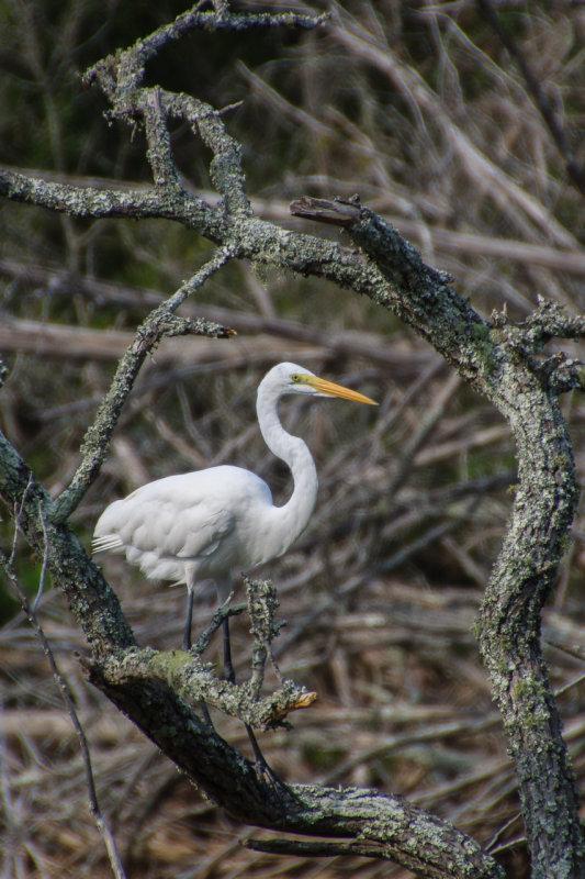 Pine Knoll Shores NC-5164.jpg