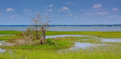 Aquarium and Estuary Photos