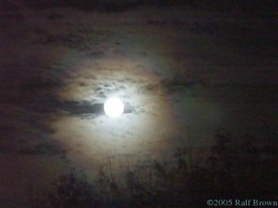 2005-11-15 Moonglow