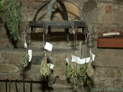 Hanging Herbs