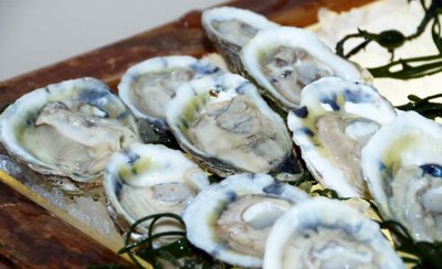 Blue Point Oysters 0769.jpg