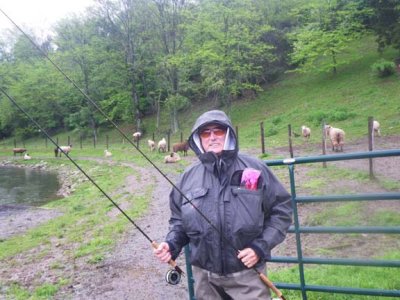 I fish with 2 rods and the sheep will watch! 1185.jpg