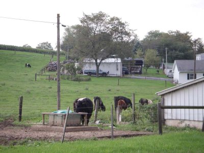 Farm 2830.jpg