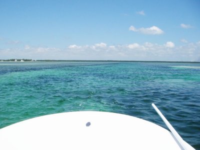 The skiff's bow....this is where you stand and talk to bonefish 3049.jpg