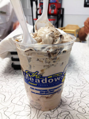 The Dirty Turtle Frozen Custard at The Meadows....Amazing!!! 1832.jpg