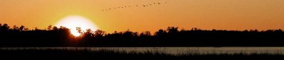 DSCN4130bannersepiasunset.jpg