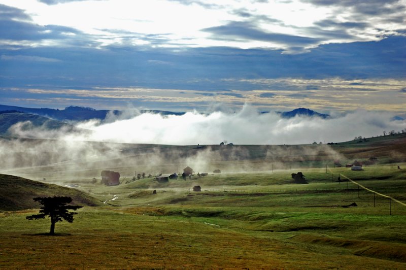 Zlatibor