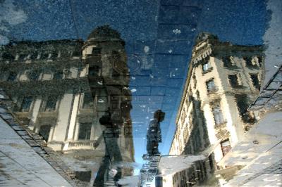 Reflection in Puddle