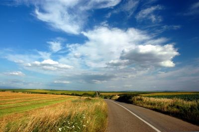 Vojvodina July