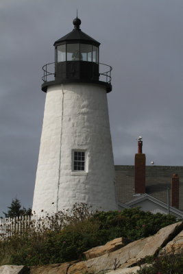 IMG_3514.JPG