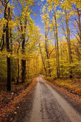 Fall