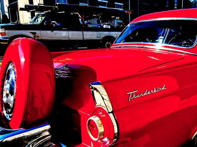 T-Bird