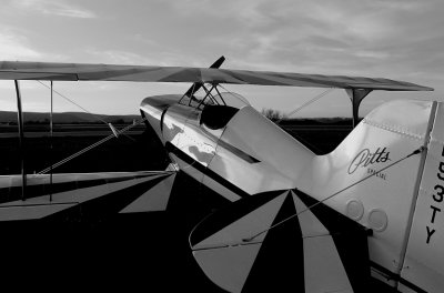 Pitts