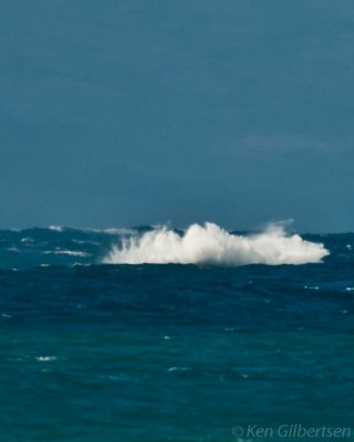 g4/35/2535/3/141422358.S6Nh4zJT.jpg