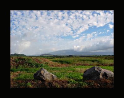 Maui Northside