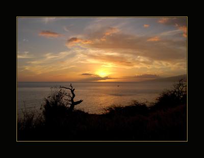 g4/35/2535/3/52267018.Mauisusnetpoint47bordered.jpg