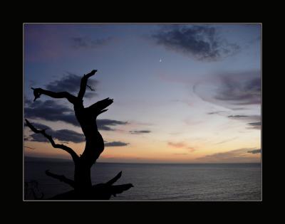 Maui sunset point