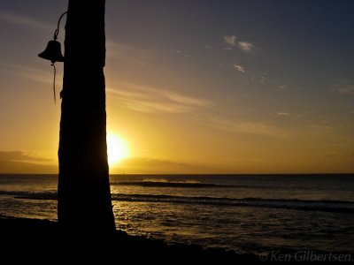 Maui whale bell