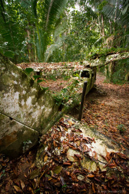 Downed Plane at the Cockscomb Basin Jaguar Reserve