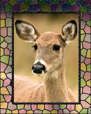 Stained Glass Deer