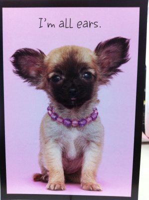 Chihuahua Themed Cards, etc.