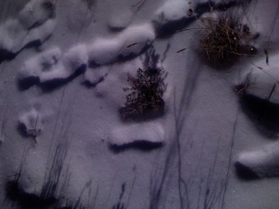 Crunchy Snow Footprints