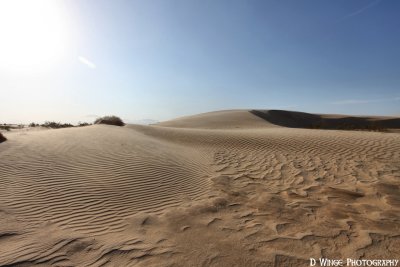 IMG_9978 (Dunes at Salton Sea)