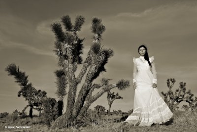 IMG_5030 (Desert Wedding)
