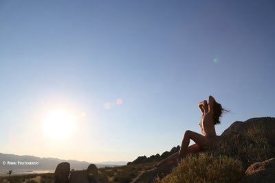 JZ7A1824 (Waking Up To The Sunrise)