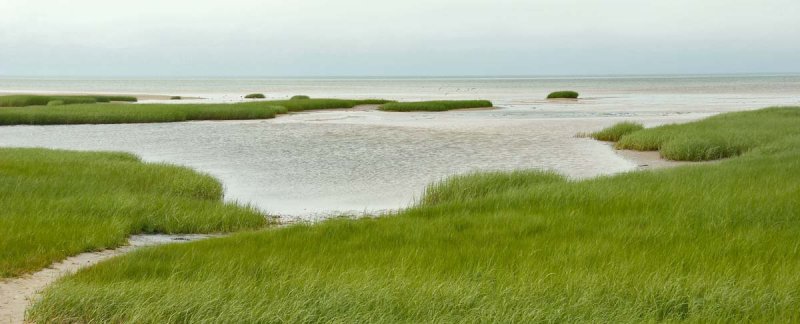 Marshes