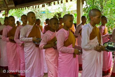 Buddhist Nuns (Thilashin)