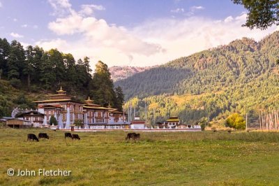 Kurjey Lhakhang (Temple) Complex