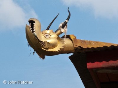 Temple Roof Detail