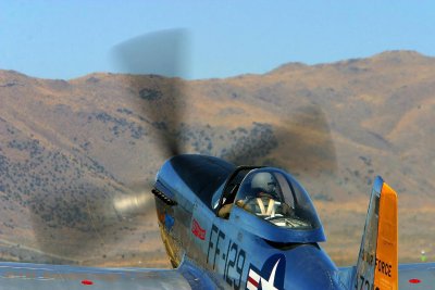 IMG_1110.jpg