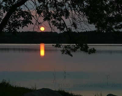 IMG_1130.jpg