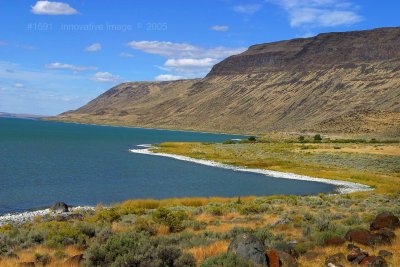 IMG_1691.jpg