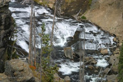 IMG_2091.jpg