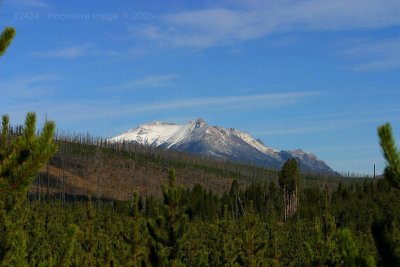 IMG_2424.jpg