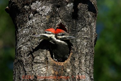IMG_3281.jpg
